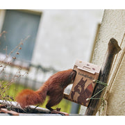 Die Stadtgärtner - Freiluftbuffet Eichhörnchen